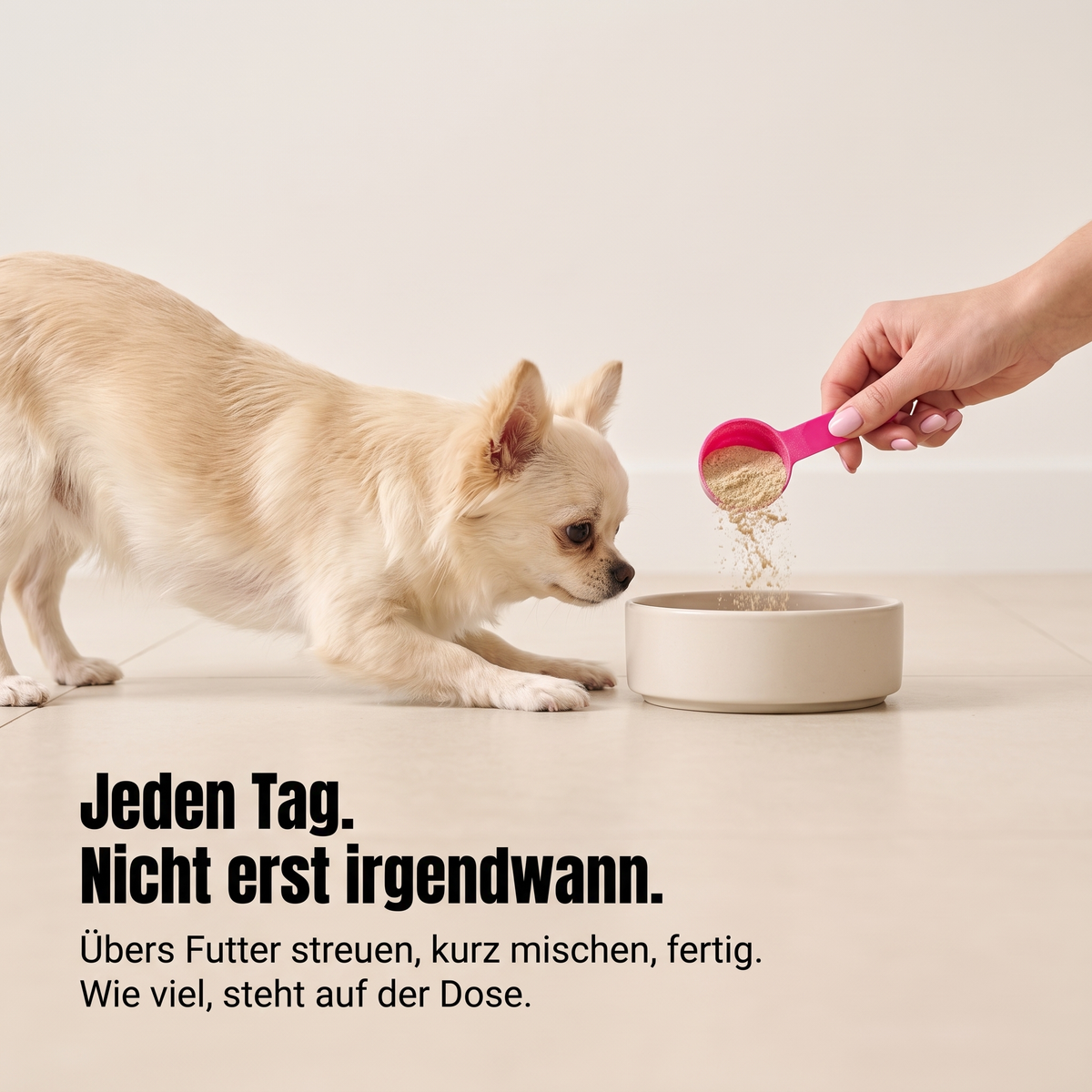 All-in-One Pulver für kleine Hunderassen